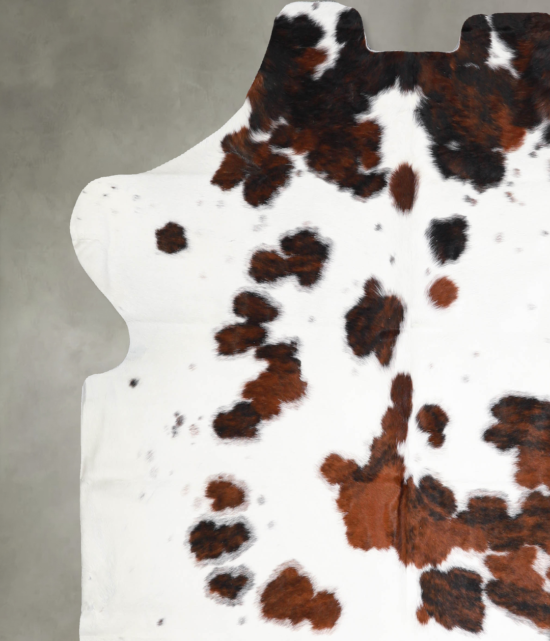 Tricolor Large European Cowhide Rug 6'3"H x 6'3"W #A40075 by Hudson Hi