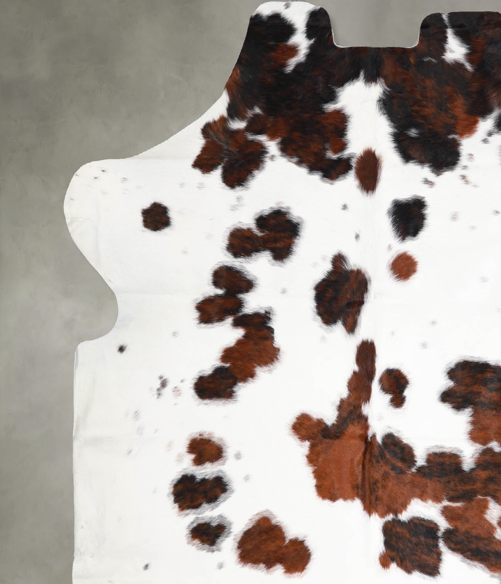 Tricolor Large European Cowhide Rug 6'3"H x 6'3"W #A40075 by Hudson Hides