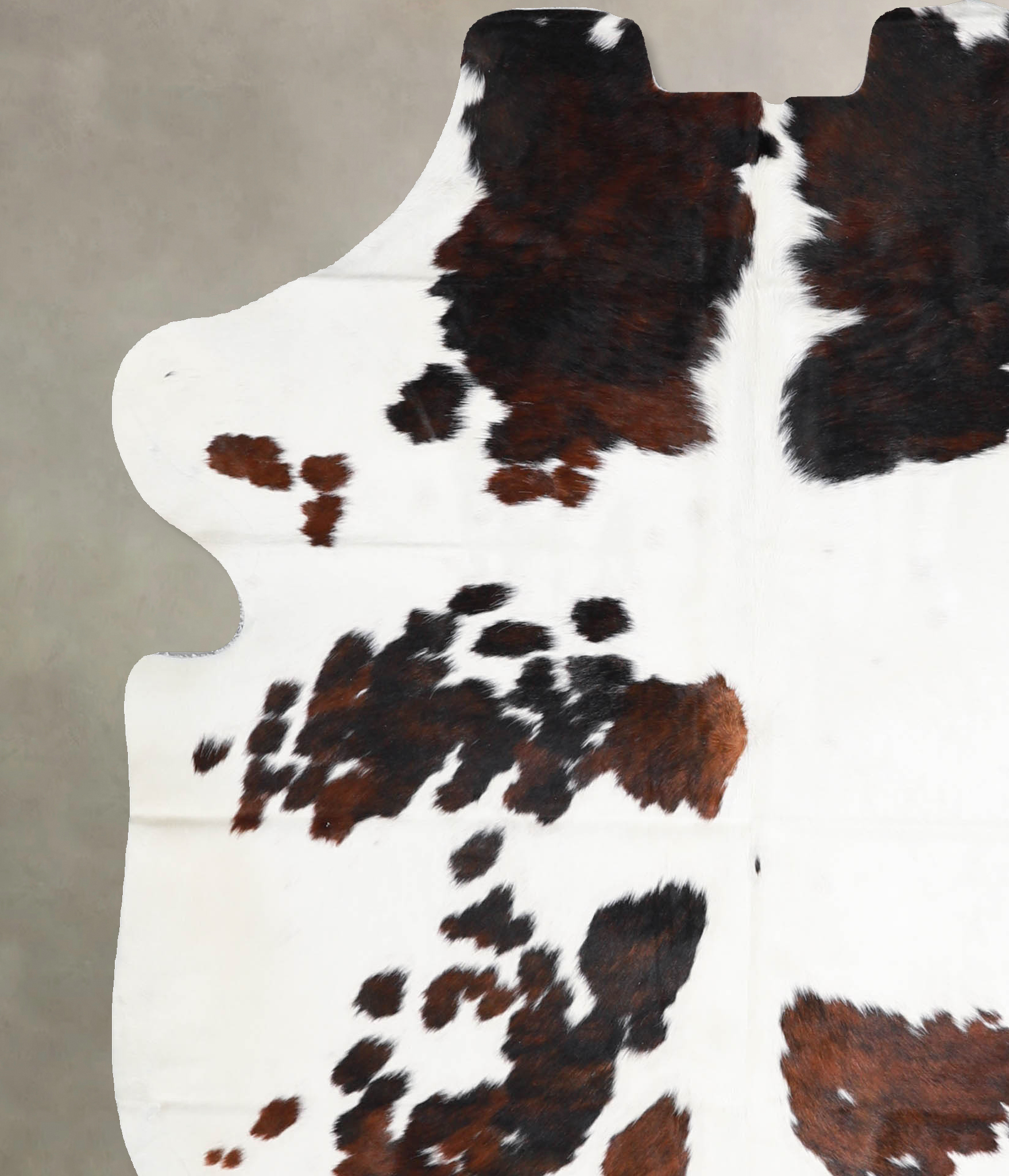 Tricolor Cowhide Rug #A40104
