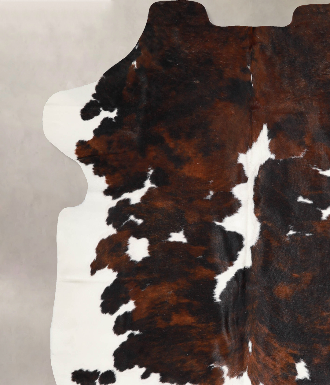 Tricolor X-Large European Cowhide Rug 7'3"H x 6'0"W #A40132 by Hudson 