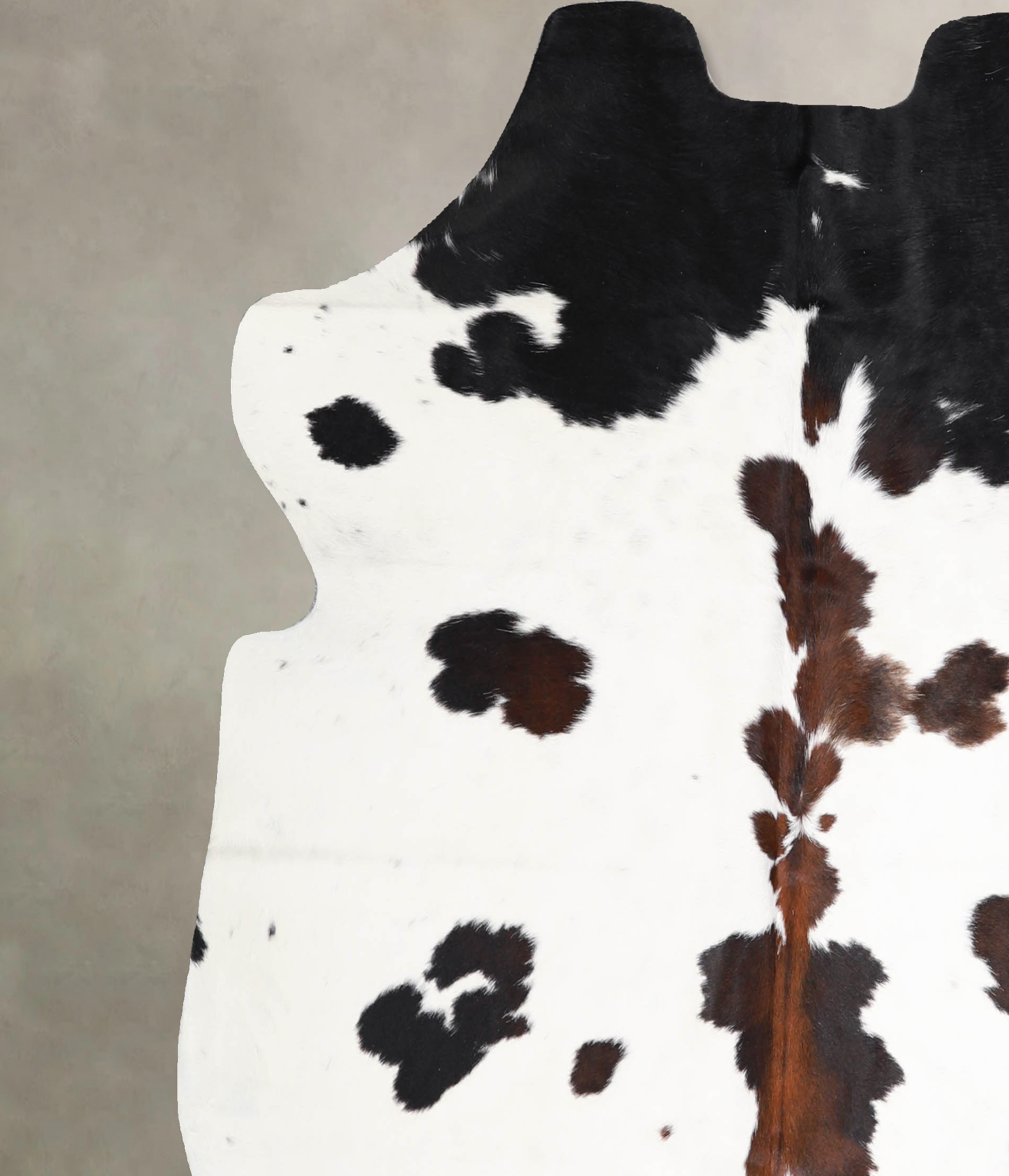 Tricolor Cowhide Rug #A40152