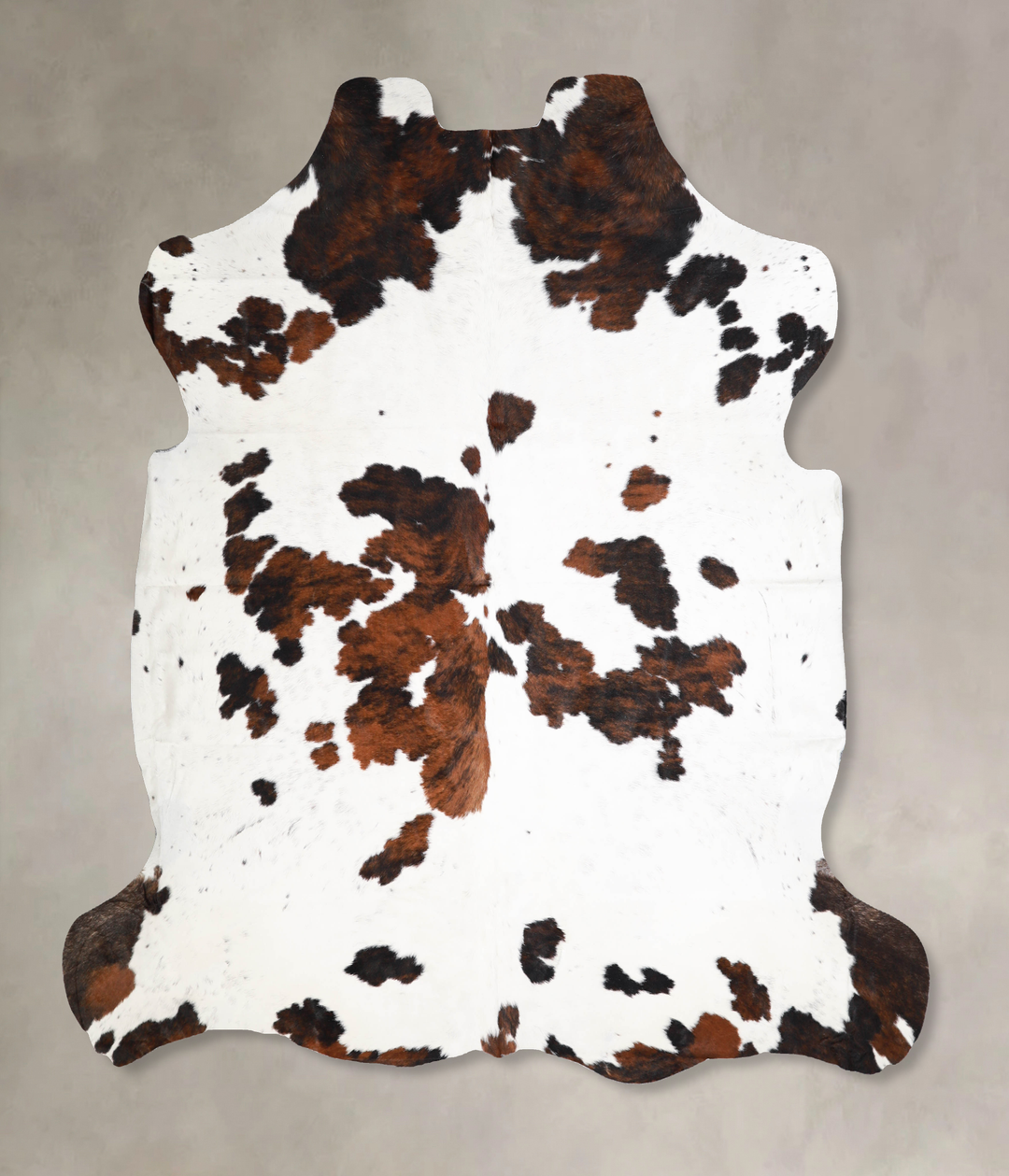 Tricolor X-Large European Cowhide Rug 7'0"H x 7'1"W #A40166 by Hudson 