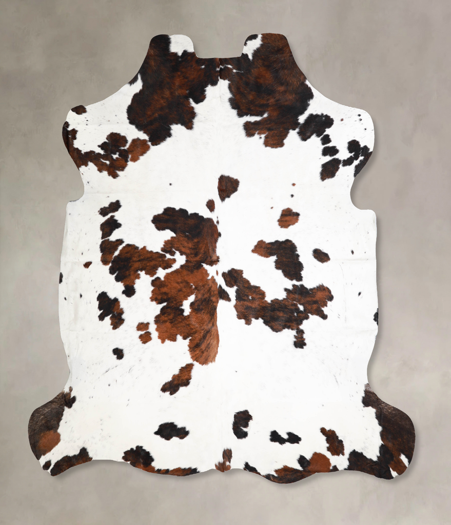Tricolor X-Large European Cowhide Rug 7'0"H x 7'1"W #A40166 by Hudson Hides