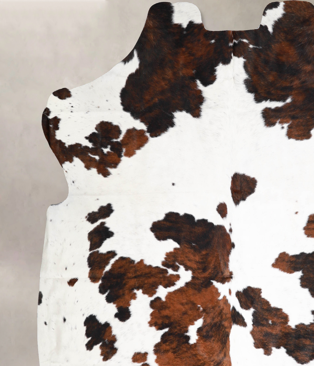 Tricolor X-Large European Cowhide Rug 7'0"H x 7'1"W #A40166 by Hudson 