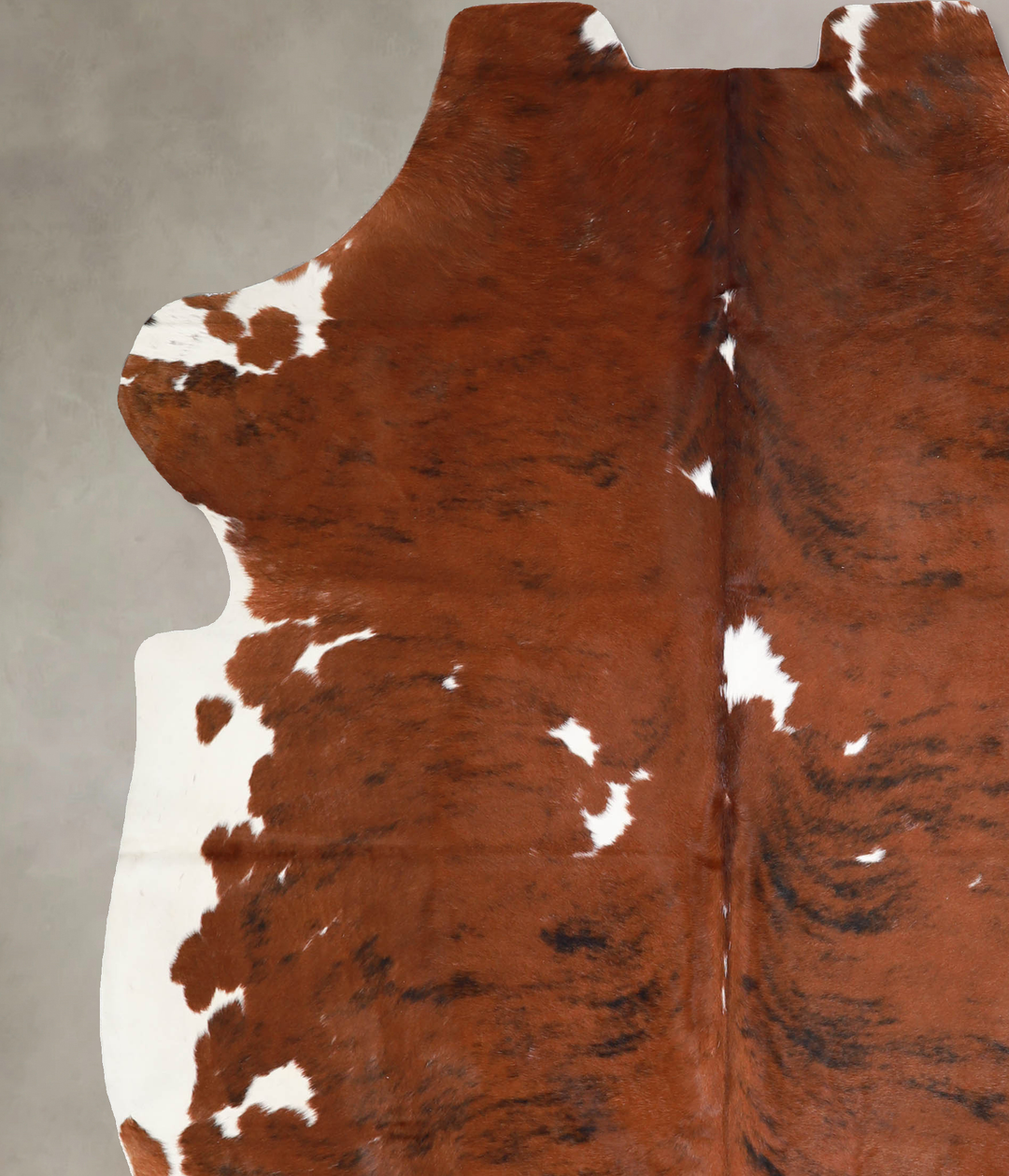 Tricolor X-Large European Cowhide Rug 6'11"H x 5'11"W #A40183 by Hudso