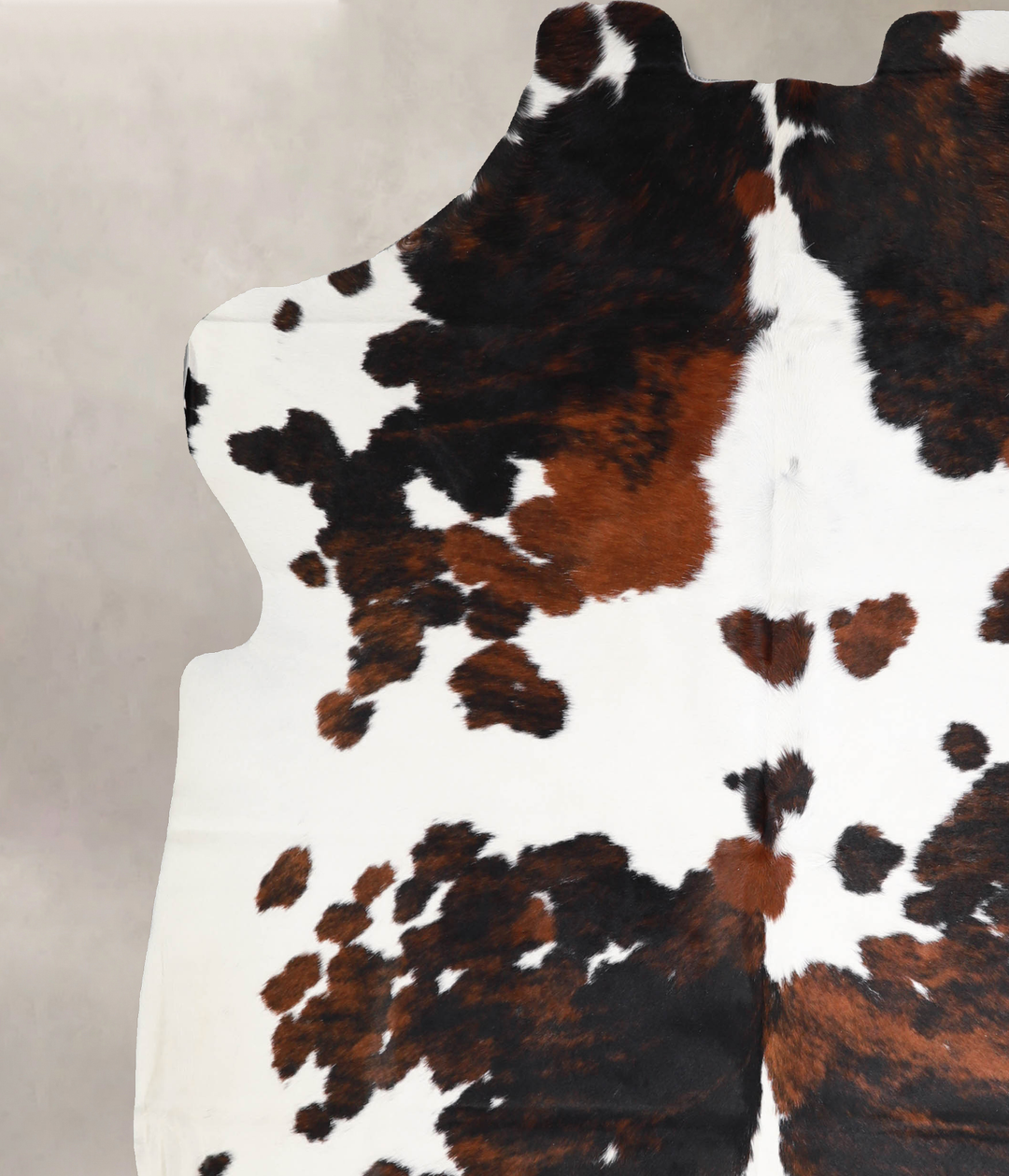 Tricolor X-Large European Cowhide Rug 7'3"H x 6'7"W #A40198 by Hudson 