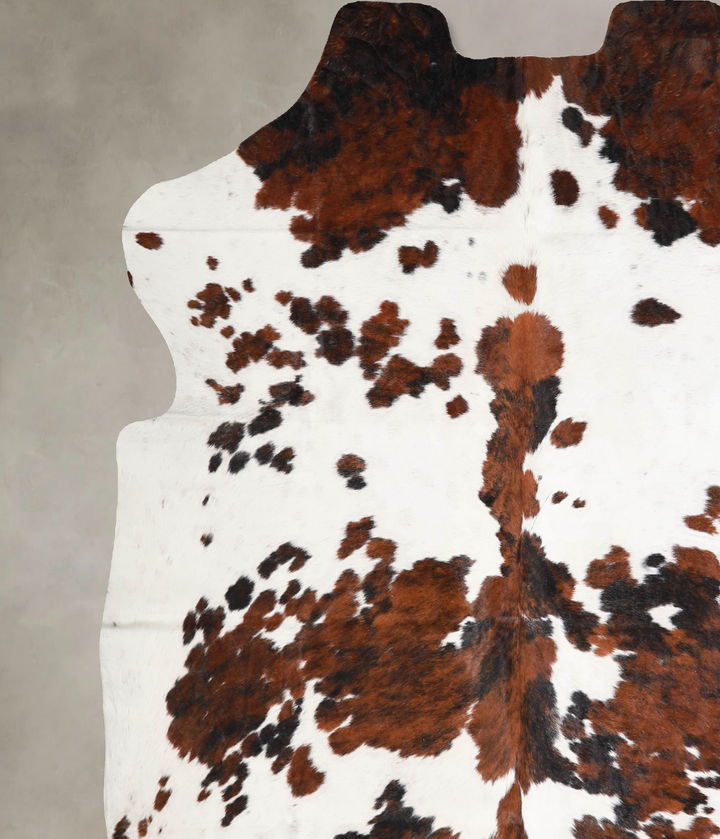 Tricolor X-Large European Cowhide Rug 6'11"H x 7'1"W #A40211 by Hudson Hides