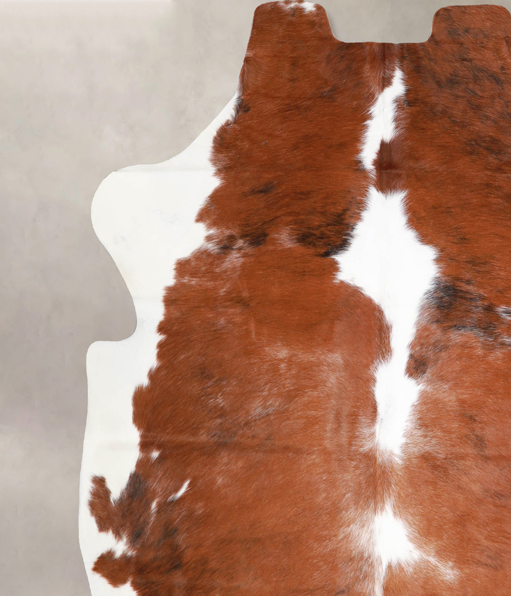 Tricolor X-Large European Cowhide Rug 6'6"H x 6'5"W #A40219 by Hudson Hides