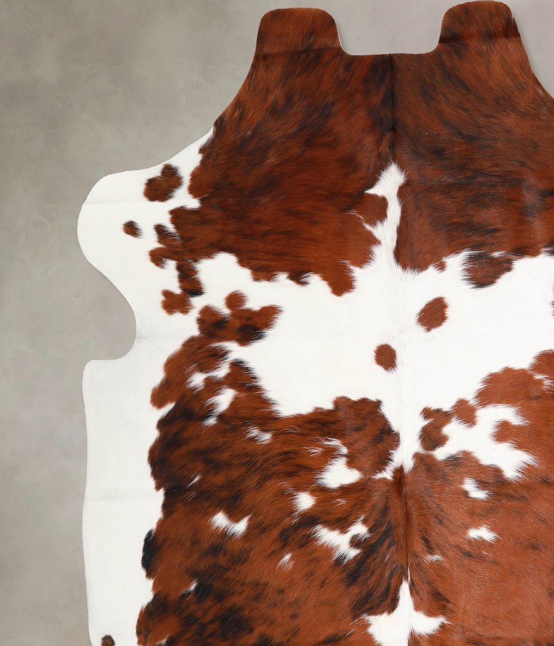 Tricolor X-Large European Cowhide Rug 6'5"H x 6'5"W #A40221 by Hudson 