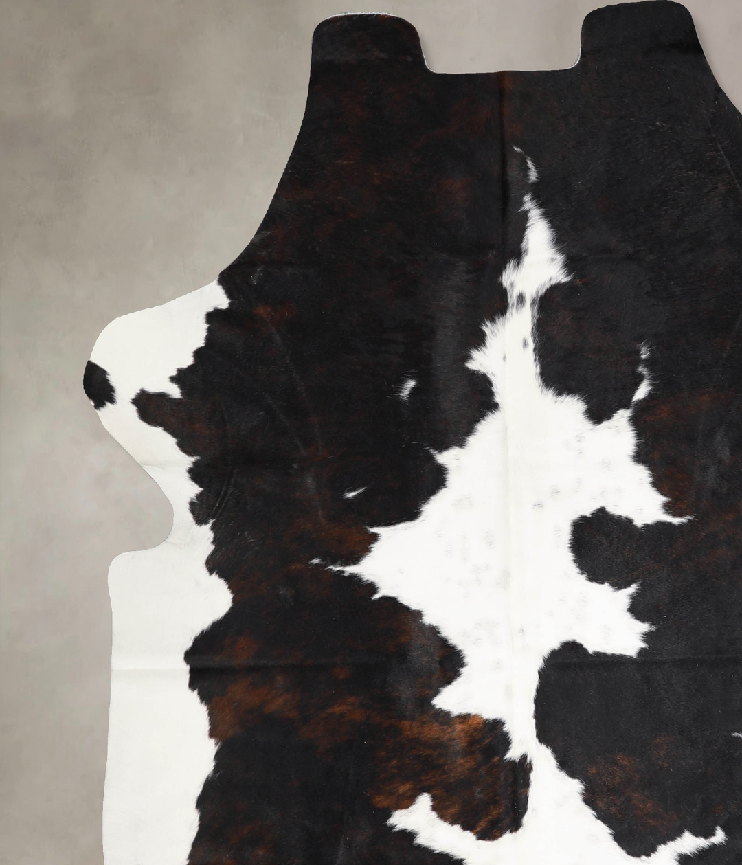 Tricolor X-Large European Cowhide Rug 7'0"H x 6'3"W #A40250 by Hudson 