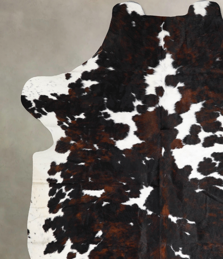 Tricolor X-Large European Cowhide Rug 7'4"H x 6'2"W #A40257 by Hudson Hides