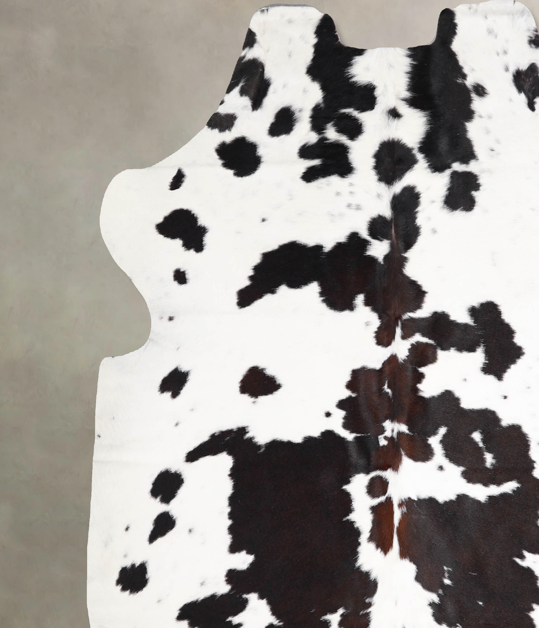 Chocolate and White Cowhide Rug #A40303