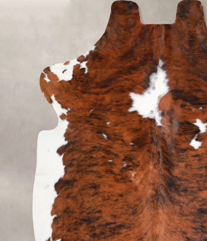 Tricolor X-Large European Cowhide Rug 6'6"H x 6'7"W #A40314 by Hudson Hides
