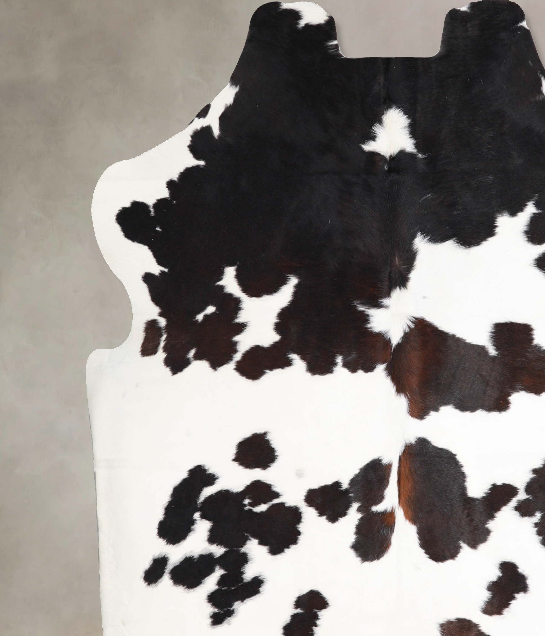 Chocolate and White Cowhide Rug #A40354