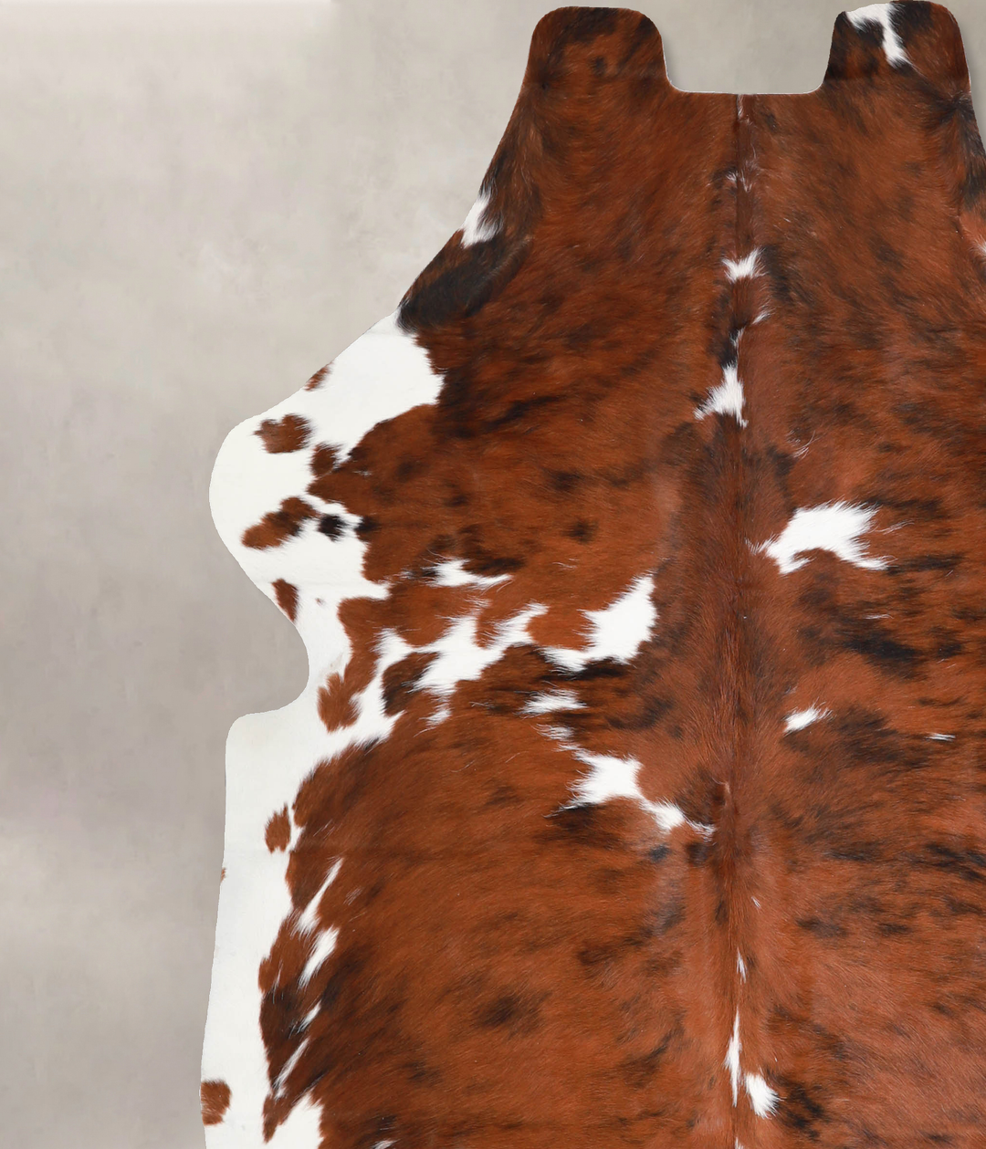Tricolor X-Large European Cowhide Rug 6'10"H x 6'4"W #A40380 by Hudson