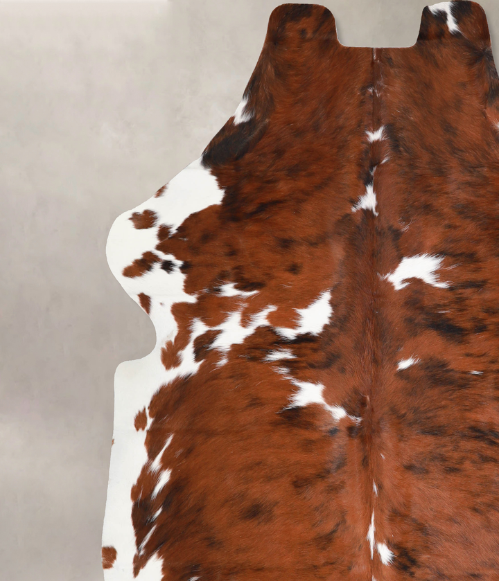 Tricolor X-Large European Cowhide Rug 6'10"H x 6'4"W #A40380 by Hudson Hides