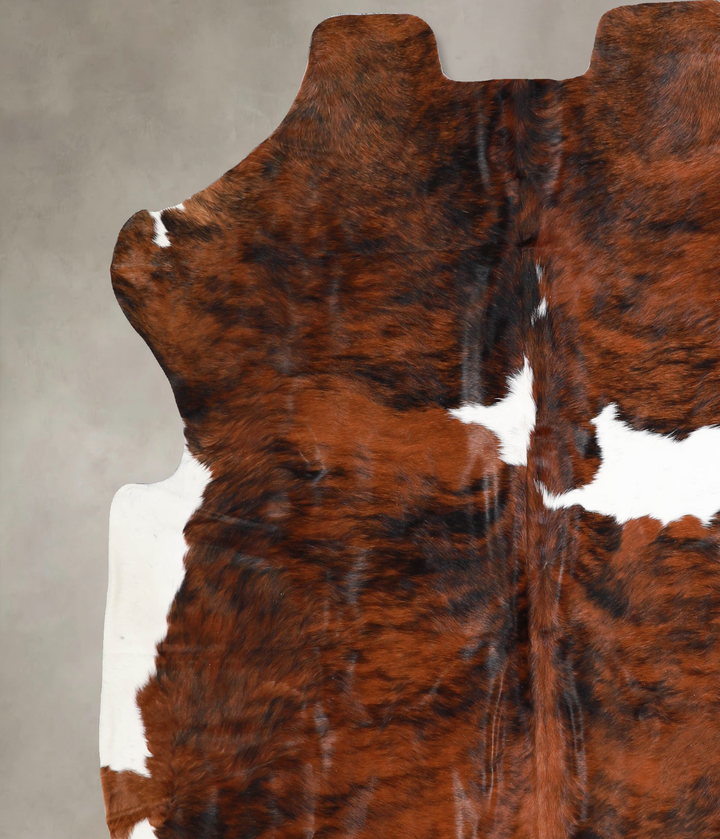 Tricolor X-Large European Cowhide Rug 6'6"H x 6'6"W #A40396 by Hudson Hides