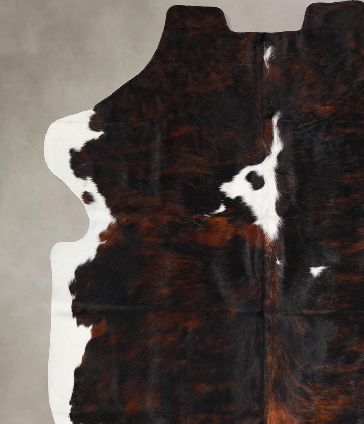 Tricolor X-Large European Cowhide Rug 6'8"H x 6'7"W #A40398 by Hudson Hides