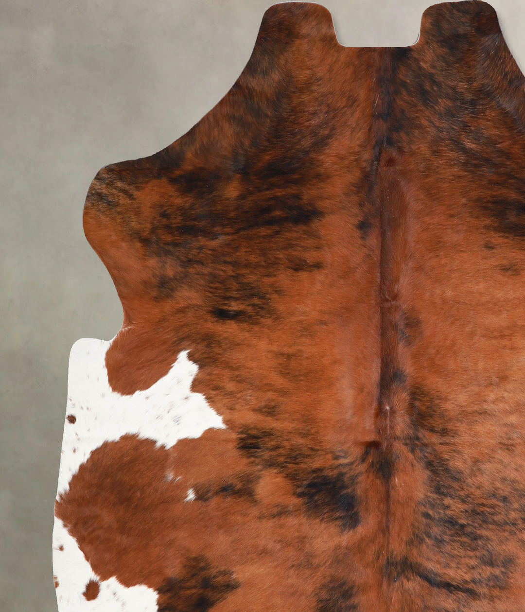 Tricolor X-Large European Cowhide Rug 6'7"H x 6'1"W #A40401 by Hudson 
