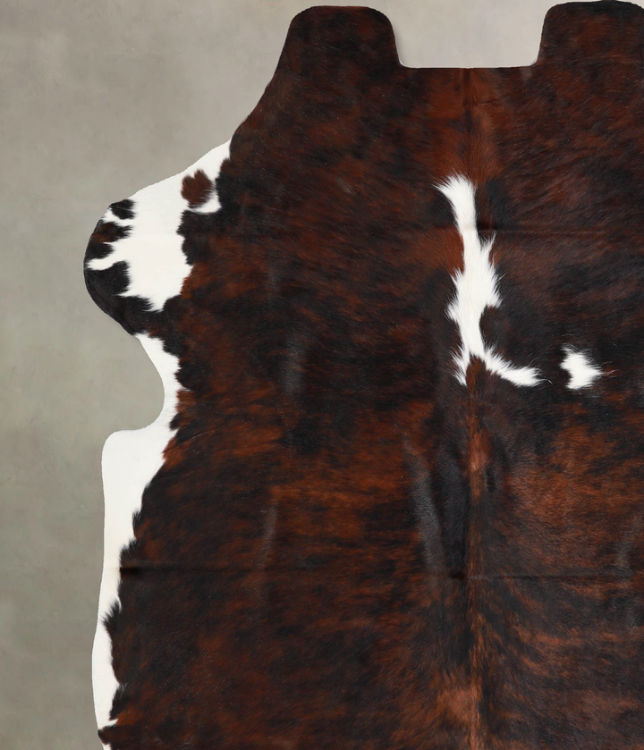 Tricolor X-Large European Cowhide Rug 6'9"H x 6'2"W #A40408 by Hudson Hides