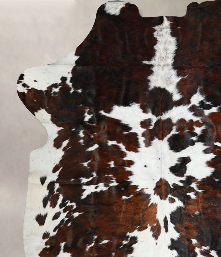 Tricolor X-Large European Cowhide Rug 7'0"H x 6'6"W #A40438 by Hudson Hides