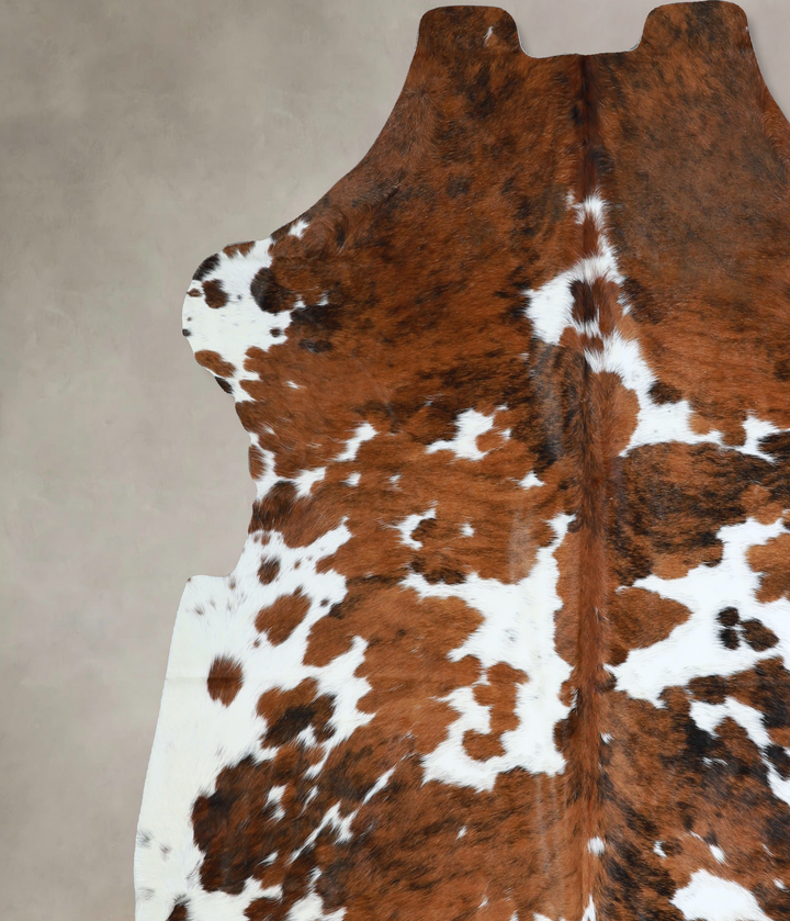 Tricolor X-Large European Cowhide Rug 7'0"H x 6'9"W #A40455 by Hudson Hides