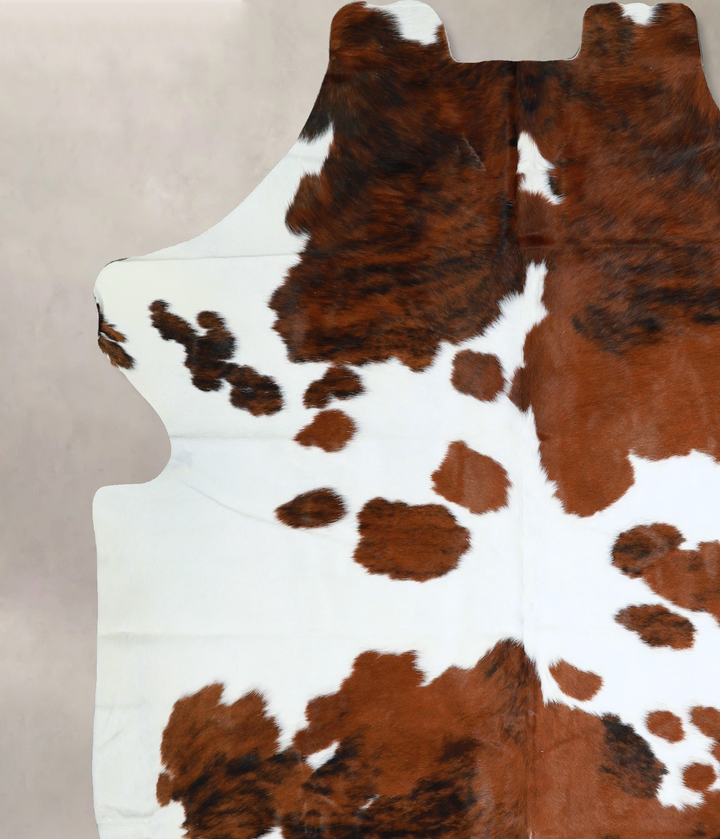Tricolor X-Large European Cowhide Rug 6'10"H x 6'8"W #A40468 by Hudson Hides