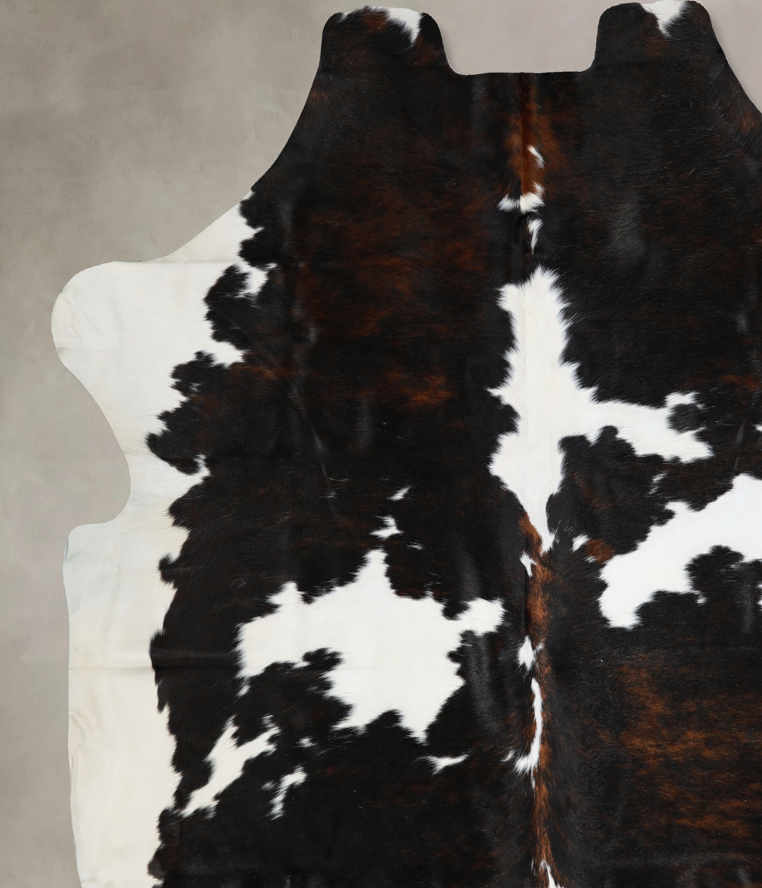 Tricolor X-Large European Cowhide Rug 7'1"H x 6'8"W #A40472 by Hudson 