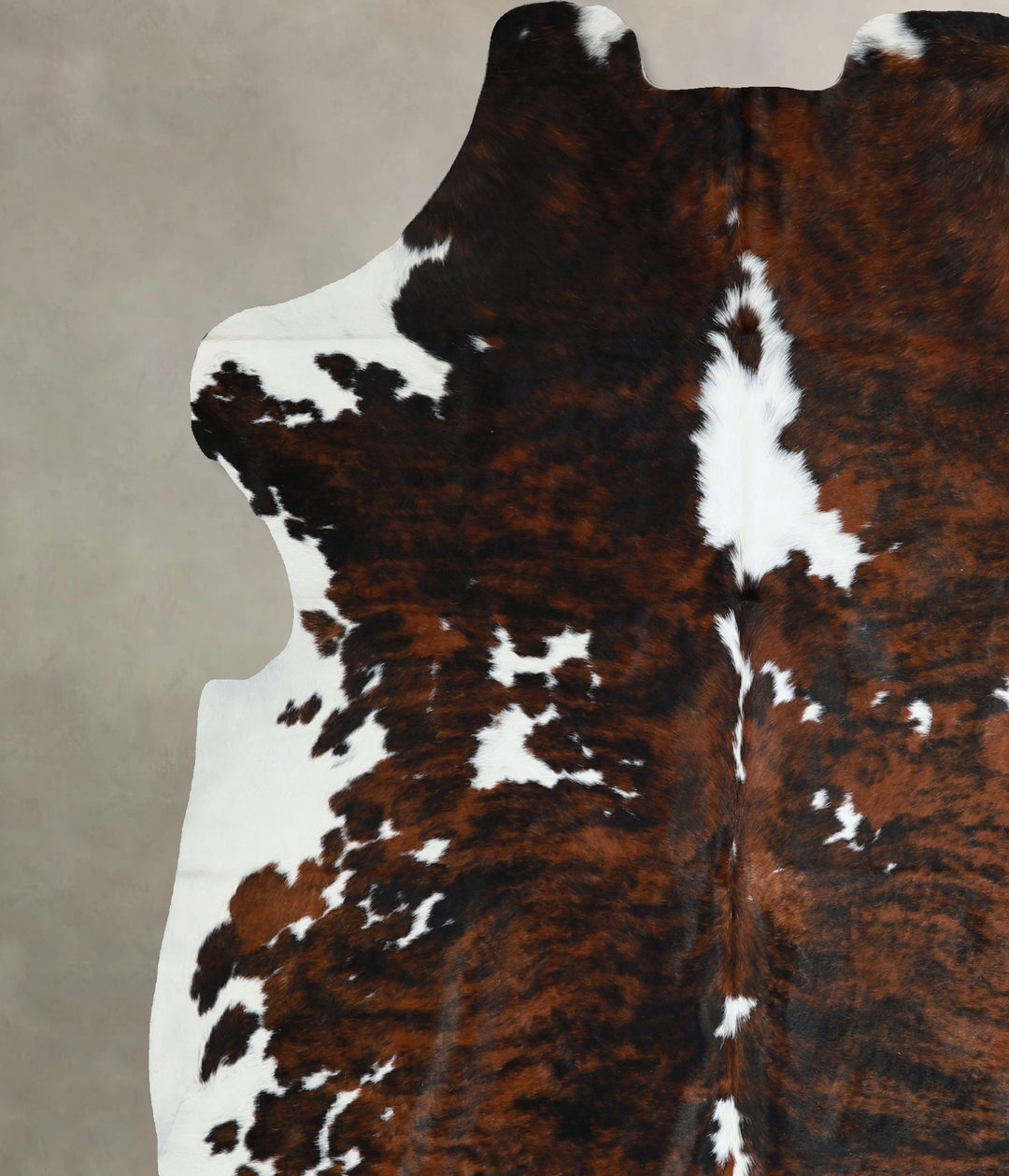 Tricolor X-Large European Cowhide Rug 7'1"H x 6'10"W #A40474 by Hudson