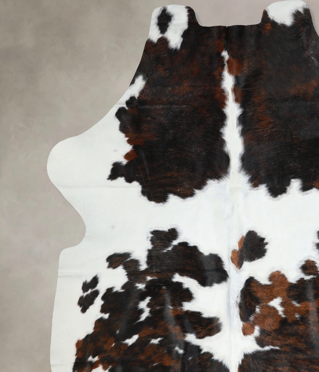 Tricolor X-Large European Cowhide Rug 7'0"H x 6'7"W #A40475 by Hudson 