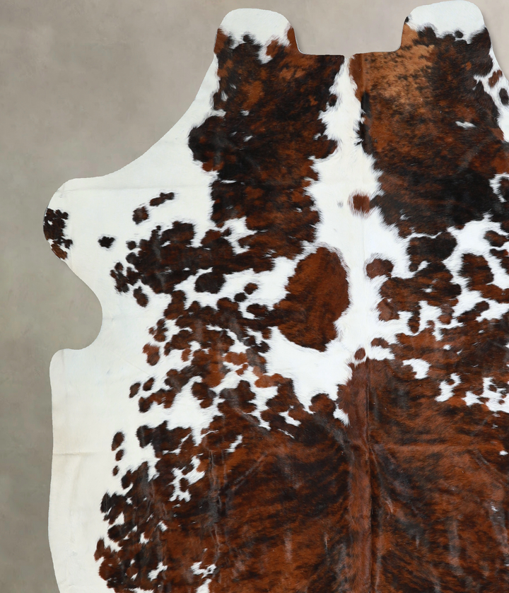 Tricolor X-Large European Cowhide Rug 6'11"H x 6'5"W #A40478 by Hudson Hides