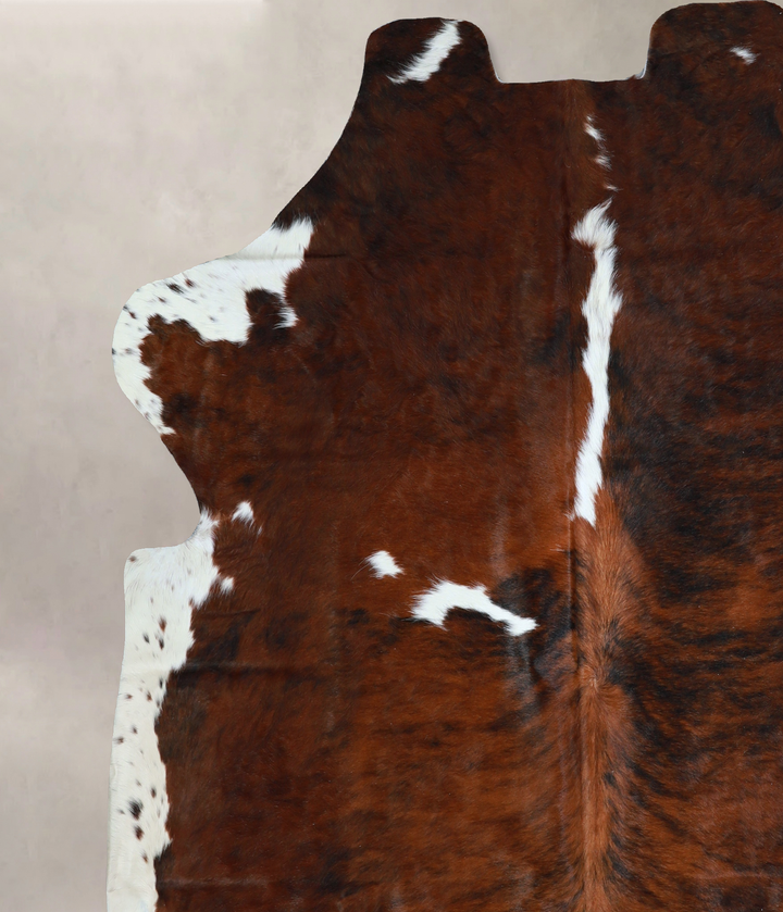 Tricolor X-Large European Cowhide Rug 6'9"H x 6'5"W #A40487 by Hudson Hides
