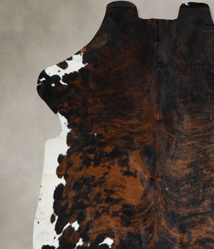 Tricolor X-Large European Cowhide Rug 6'6"H x 6'6"W #A40493 by Hudson Hides