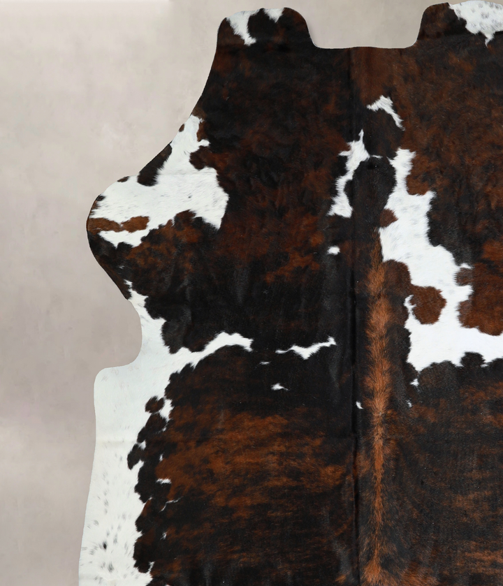 Tricolor X-Large European Cowhide Rug 7'0"H x 6'5"W #A40504 by Hudson Hides