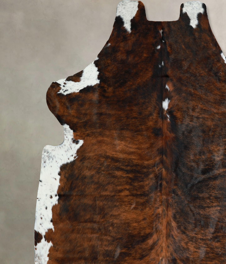 Tricolor X-Large European Cowhide Rug 6'10"H x 7'2"W #A40538 by Hudson Hides