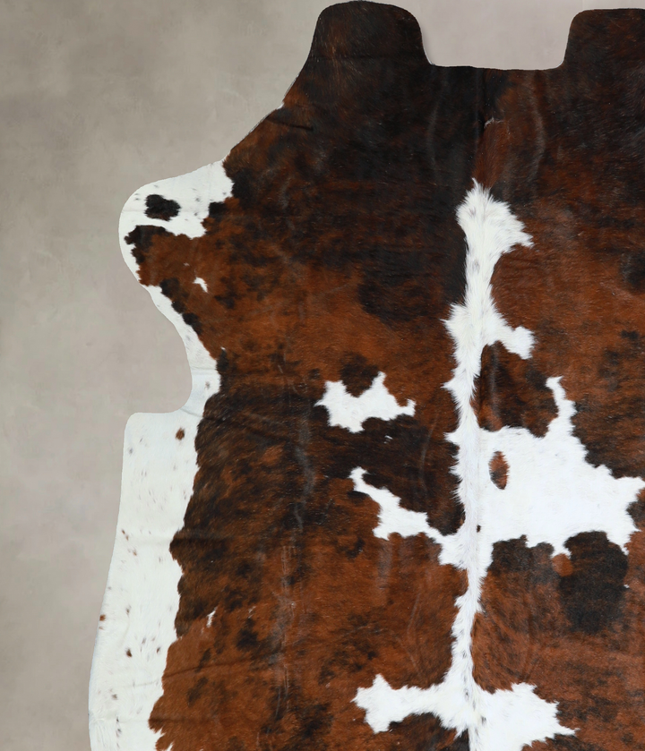 Tricolor X-Large European Cowhide Rug 6'7"H x 6'8"W #A40543 by Hudson Hides