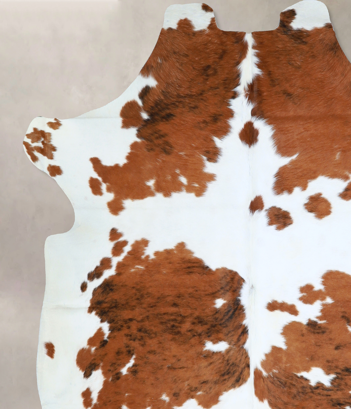 Tricolor X-Large European Cowhide Rug 6'8"H x 6'5"W #A40545 by Hudson Hides