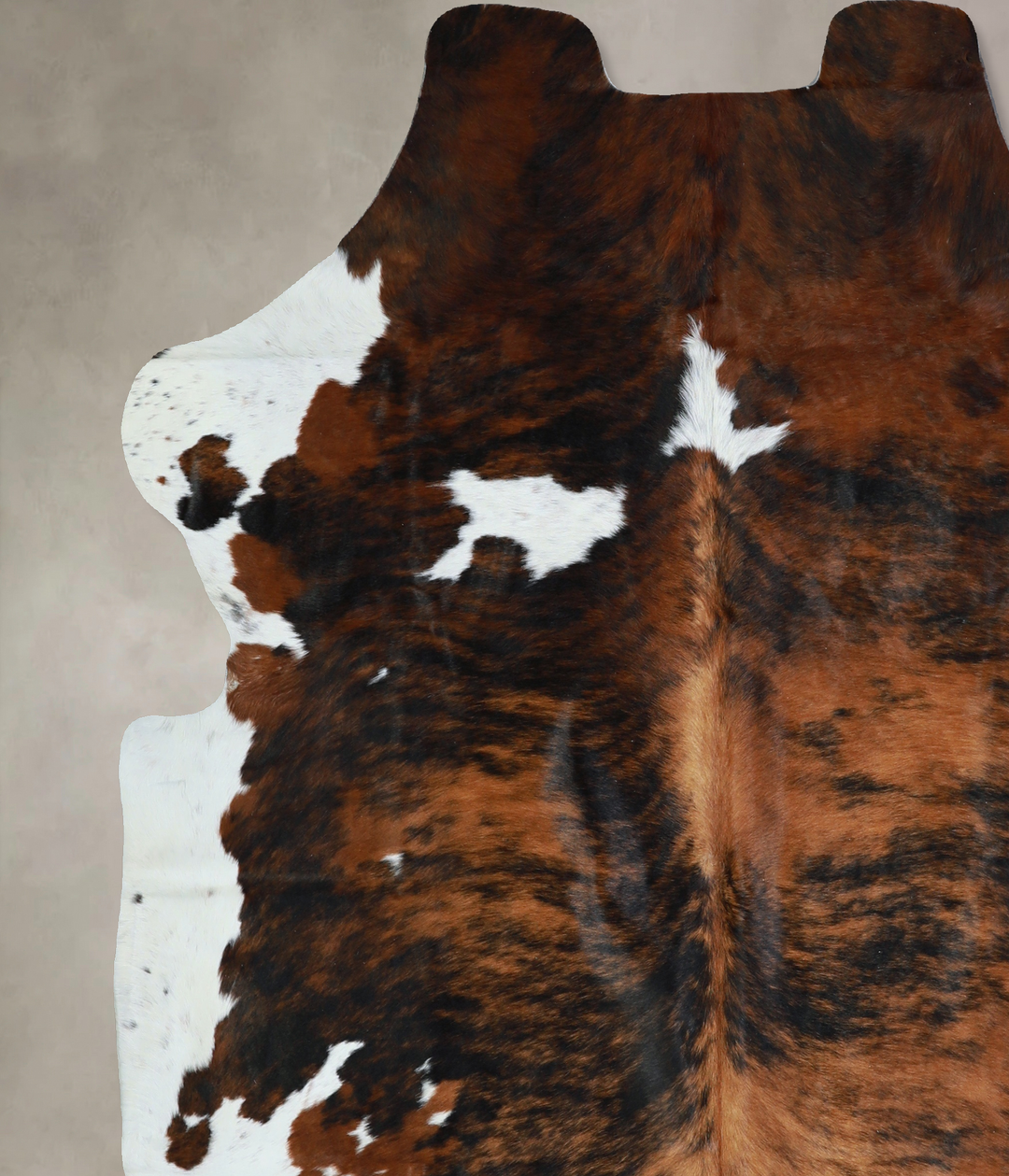 Tricolor X-Large European Cowhide Rug 6'9"H x 6'3"W #A40547 by Hudson 