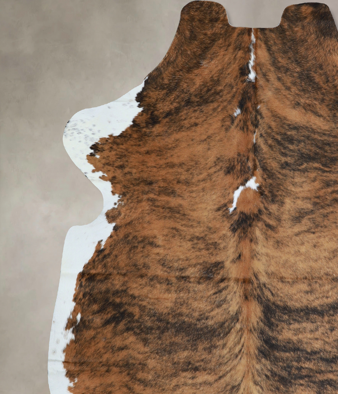 Tricolor X-Large European Cowhide Rug 7'2"H x 6'5"W #A40548 by Hudson 