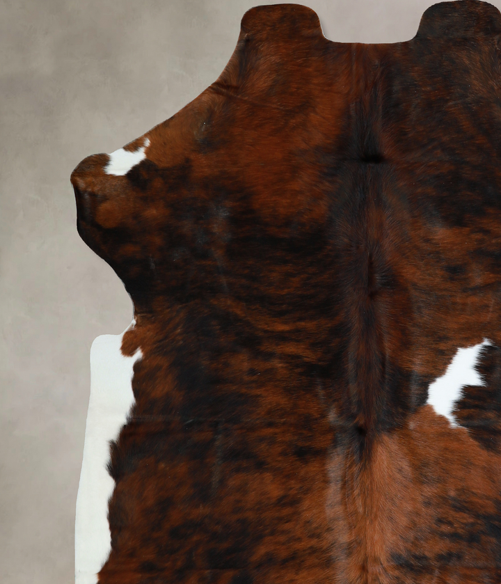Tricolor X-Large European Cowhide Rug 6'9"H x 6'6"W #A40549 by Hudson Hides
