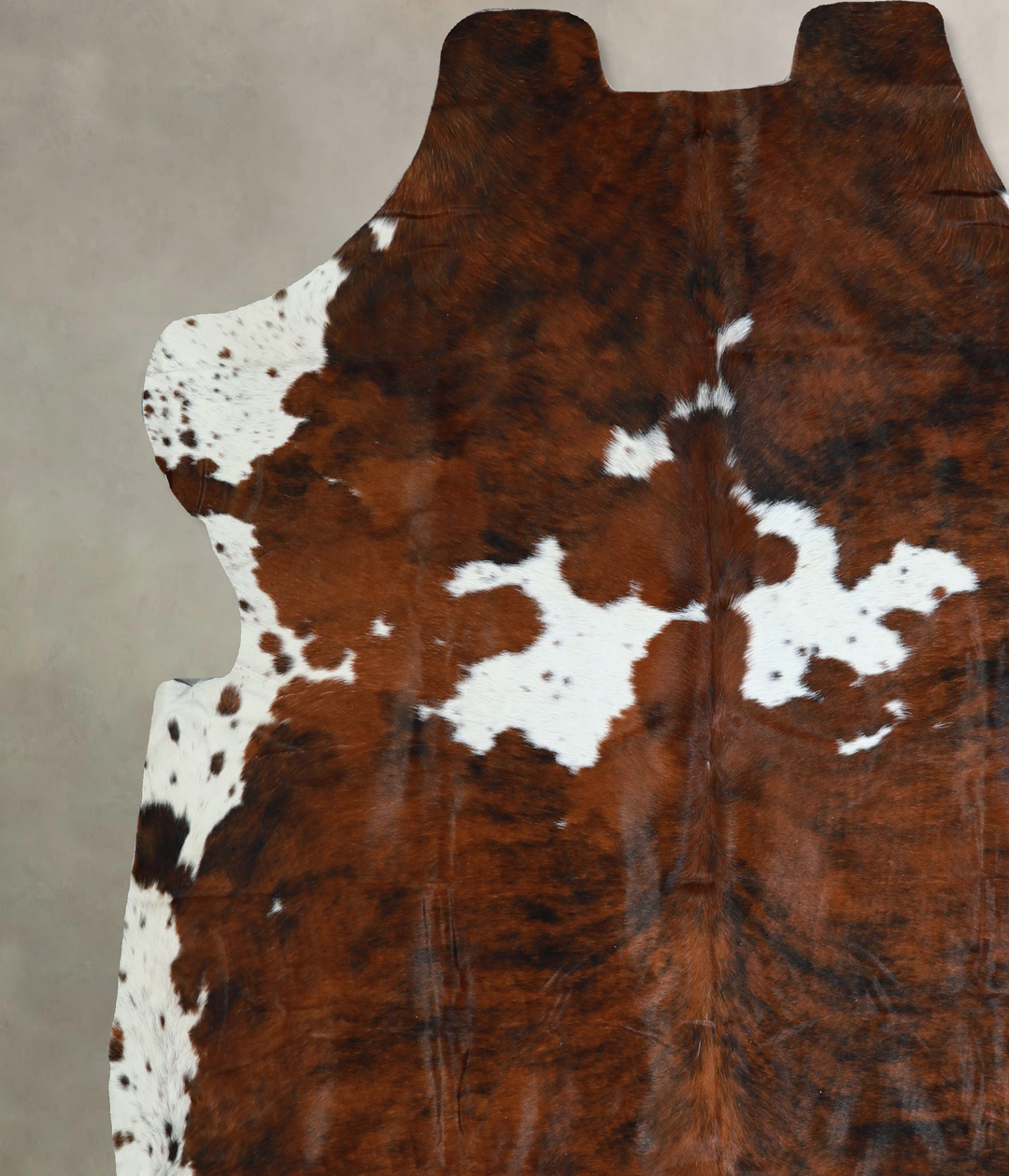 Tricolor X-Large European Cowhide Rug 6'11"H x 6'11"W #A40558 by Hudso