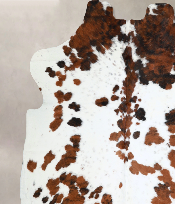Tricolor X-Large European Cowhide Rug 6'6"H x 6'7"W #A40561 by Hudson Hides