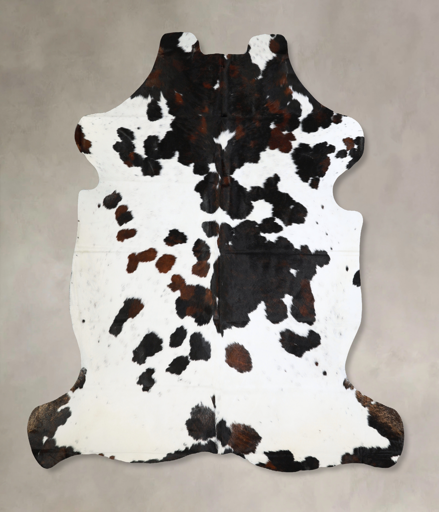 Tricolor X-Large European Cowhide Rug 7'1"H x 6'10"W #A40579 by Hudson Hides