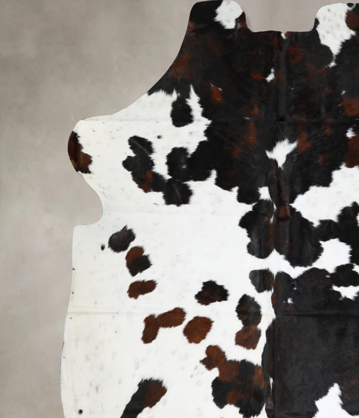 Tricolor X-Large European Cowhide Rug 7'1"H x 6'10"W #A40579 by Hudson Hides