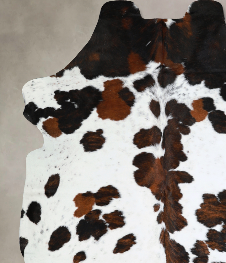 Tricolor X-Large European Cowhide Rug 7'7"H x 6'6"W #A40585 by Hudson Hides