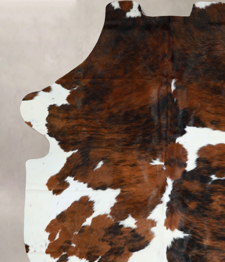 Tricolor X-Large European Cowhide Rug 7'11"H x 5'8"W #A40586 by Hudson Hides