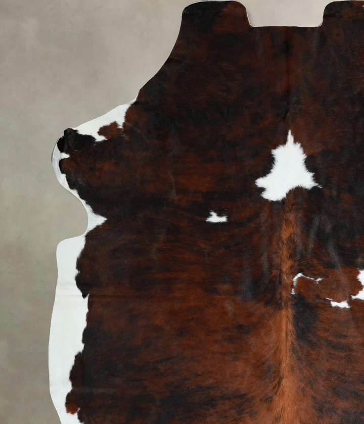 Tricolor X-Large European Cowhide Rug 6'11"H x 6'2"W #A40604 by Hudson Hides