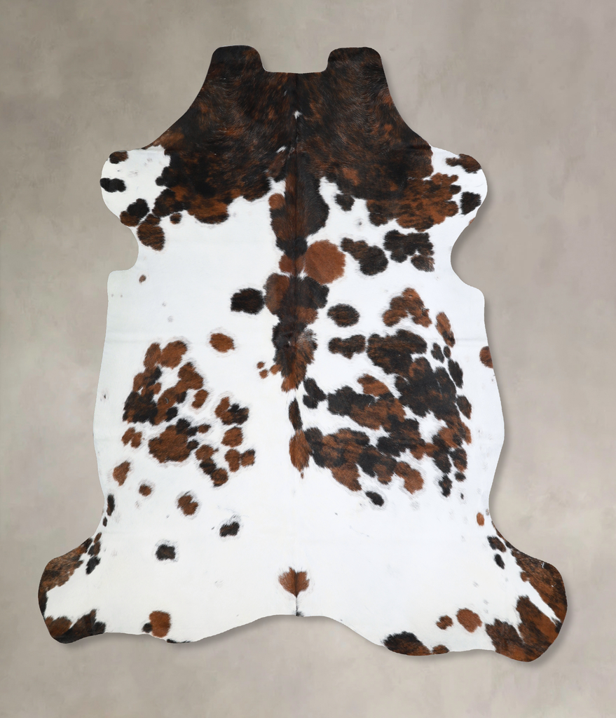 Tricolor Large European Cowhide Rug 6'7"H x 6'0"W #A40609 by Hudson Hides