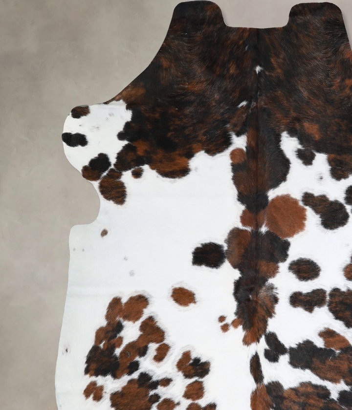 Tricolor Large European Cowhide Rug 6'7"H x 6'0"W #A40609 by Hudson Hides