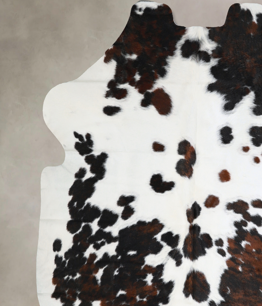 Tricolor Large European Cowhide Rug 6'3"H x 5'10"W #A40618 by Hudson H